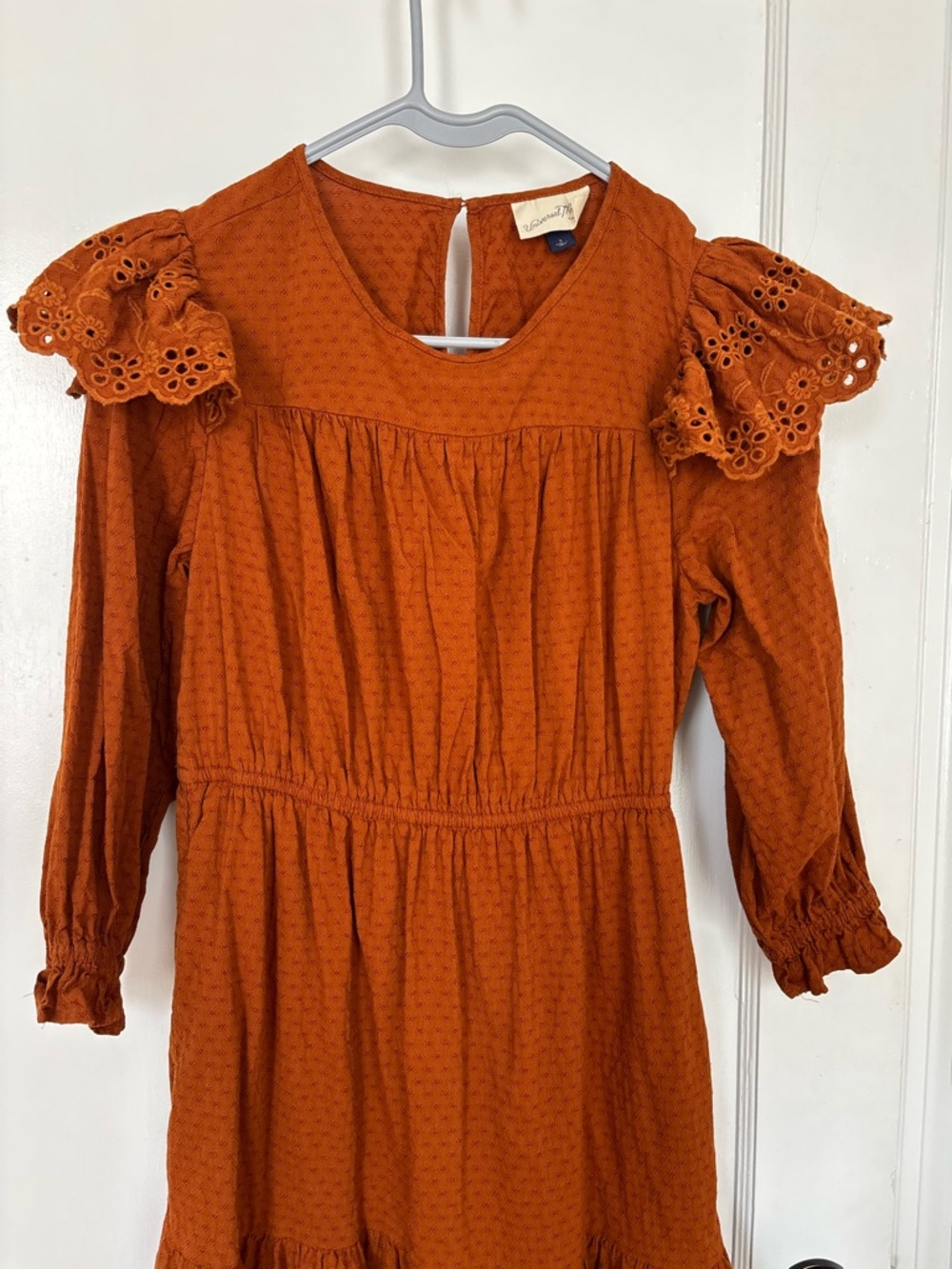 Universal Thread Rust Eyelet Ruffle Dress - Picture 3 of 5